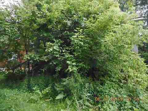 4696 Dickerson (8)_m.jpg